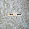Short Grain White Rice