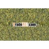 GREEN MILLETS OR INDIAN BAJRA