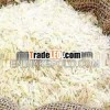 Best quality of Sugandha basmati rice