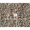 SELL MILLET FOR HUMAN CONSUMPTION