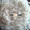 Sortex Raw Rice