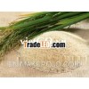 10% Broken White Rice With Best Quality From Vietnam