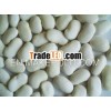 hot sale white kidney beans