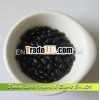 Wholesale Small Black Kidney beans, Price for Black Beans,  Black Turtle Beans for Sale