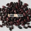 2013dark red kidney bean new crop bean
