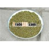 china mung bean