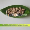 Red and White Speckled Kidney Beans, Long Shape, Kidney Beans for Sale