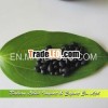 Black Kidney beans, China Origin , Price for Black Beans,  Black Turtle Beans for Sale