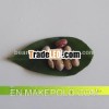 Pinto Beansor Sugar Beans,  Huanan Origin,  High Quality