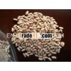 2010 Light Speckled Kidney Beans Origin China