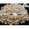 dry white beans