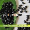 Chinese Small Black Kidney beans,  Price for Black Beans