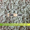 White Beans Yunna Origin,  Size is about 70-80grains/100g