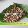 Red and White Speckled Kidney Beans, Long Shape, Wholesale Kidney Beans for Sale