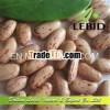New Crop Red and White Speckled Kidney Beans, Long Shape,  Yian Origin