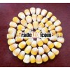 Prime Quality Yellow Maize Corn