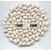white kidney bean kidney bean