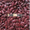 Sell British type red kidney beans Long type