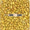 China yellow kidney beans