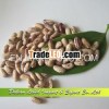 Supply Red and White Speckled Kidney Beans,  Long Shape,  Pinto Beans Price
