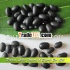 Supply Chinese Small Black Kidney beans,  Beans Product for Sale