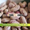 Crop 2013 Light Speckled Kidney Beans, Long Shape,  Chinese Beans