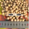 Good price Kabuli chickpea