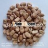 Chinese Broad Beans