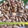 Supply High Quality Light Speckled Kidney Beans, Long Shape,  Chinese Beans