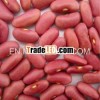 Best quality pink kidney beans