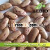 Red and White Speckled Kidney Beans, Long Shape,  Yian Origin,  Beans Product