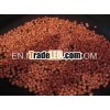 Red Sorghum