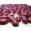 Red long kidney beans