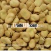 Broad Beans/dried Beans/pulses 2013 new crop for sale