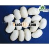 wholesale white beans