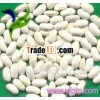 supply bulk Chinese cheap best medium white Kidney Beans for sale