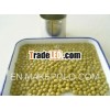 400g Cheap Price Canned green peas in brine