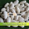 Good Quality White Kidney Beans,  Types of White Beans,  Bashake