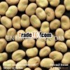 natural broad beans