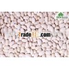 bulk white kidney dried beans wholesale
