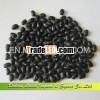 Small Black Kidney beans, Price for Black Beans,  Black Turtle Beans for Sale
