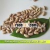 Supply New Crop Red and White Speckled Kidney Beans,  Long Shape,  Pinto Beans Price