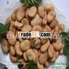 dry horse beans kernel