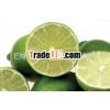 2013 fresh lemon wholesale