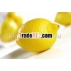 Fresh Eureka Lemon from China