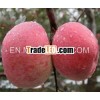 Shandong Fuji apple