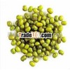myanmar green mung bean