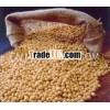 export grade soybean from Ukraine