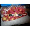 fresh new crop gala apple