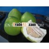 selling pomelo from china